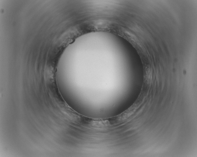 X0000088610571200706081437