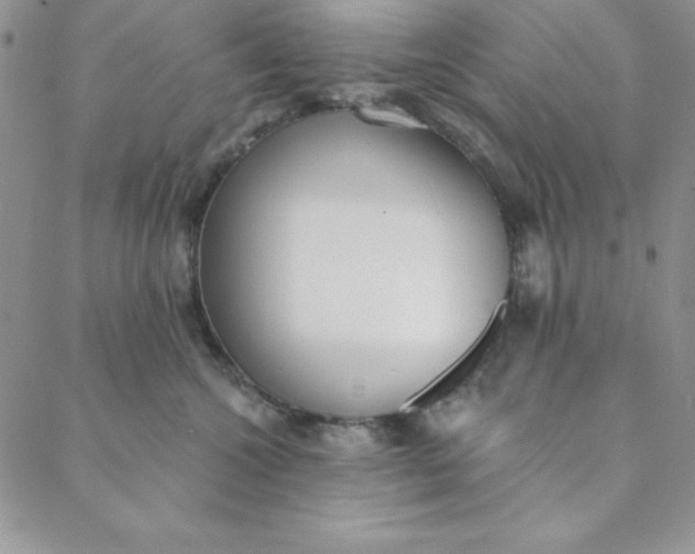 X0000088610572200706081437