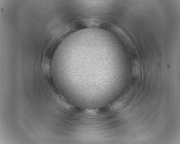 X0000088610573200706081437