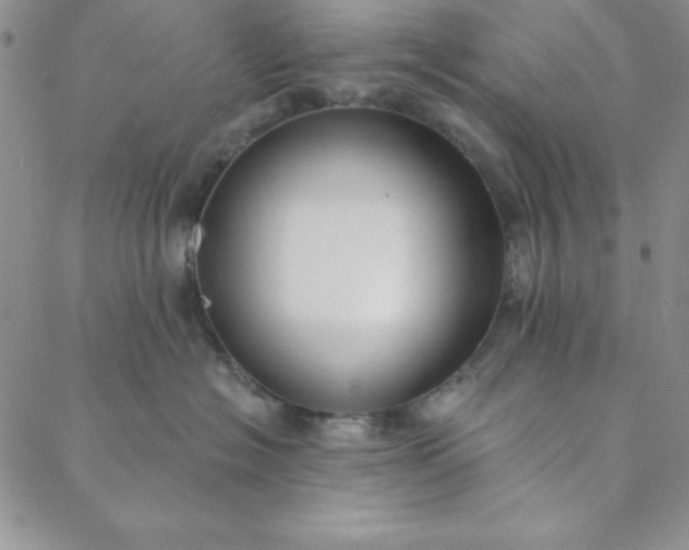 X0000088610574200706081437