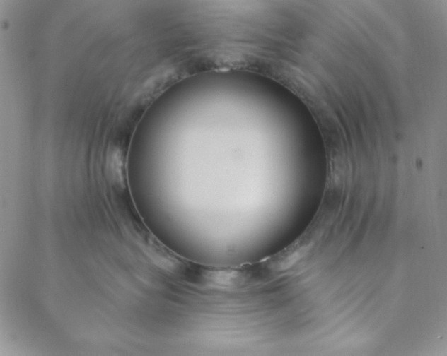 X0000088610575200706081437