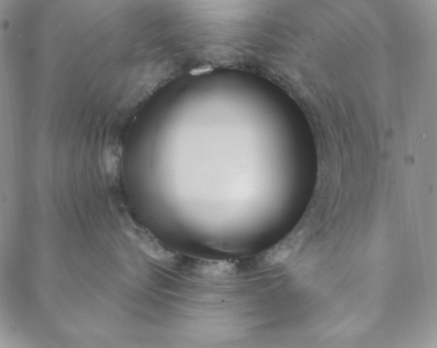 X0000088610576200706081437