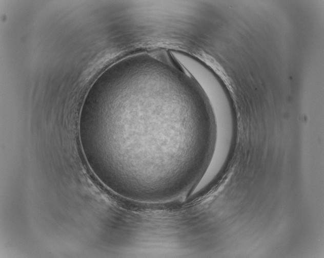 X0000088610577200706081436