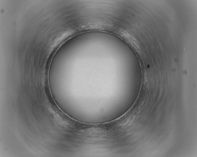 X0000088610578200706081436