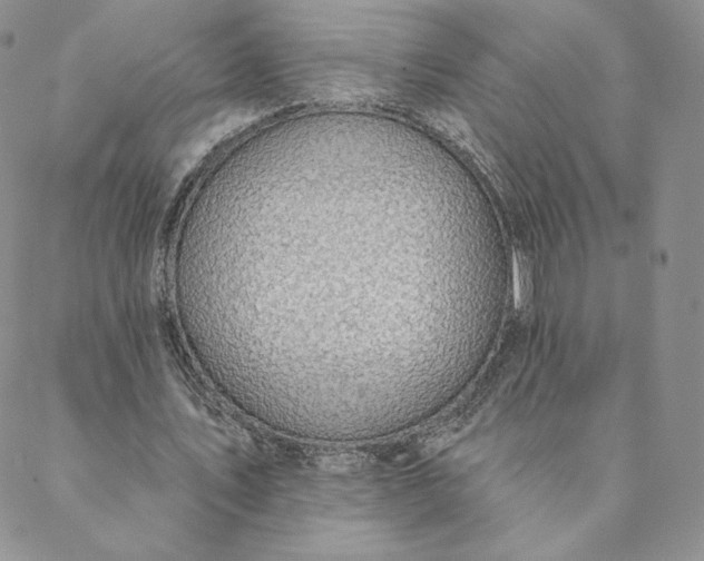 X0000088610579200706081436