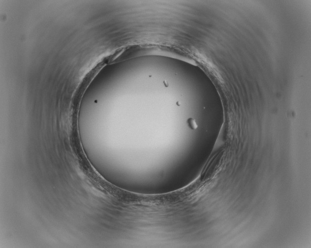 X0000088610580200706081436