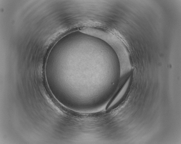 X0000088610581200706081436