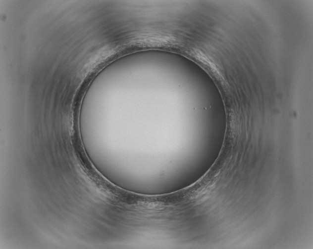 X0000088610582200706081436