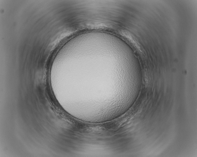 X0000088610583200706081436