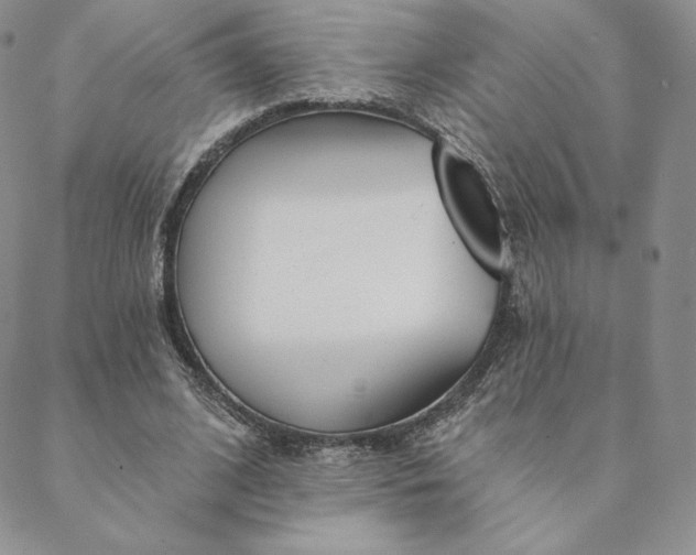 X0000088610584200706081436