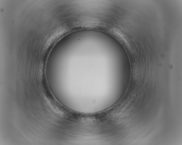 X0000088610586200706081436