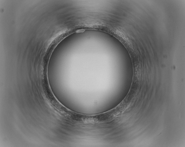 X0000088610587200706081436