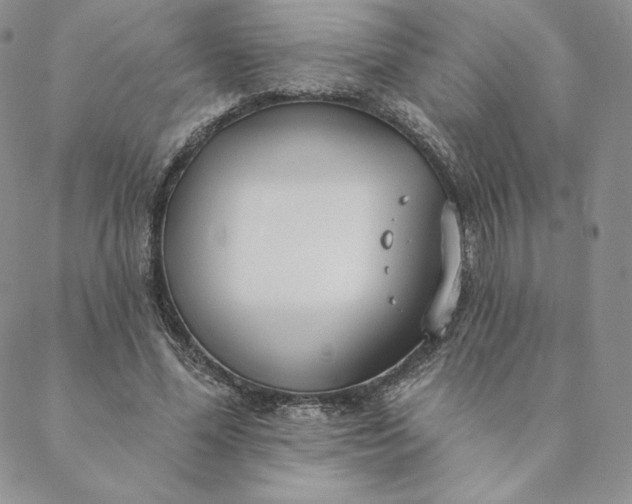 X0000088610588200706081436