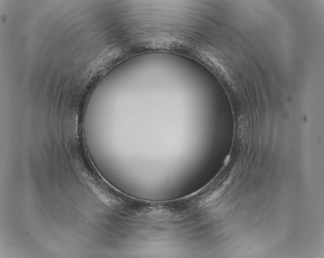 X0000088610589200706081436