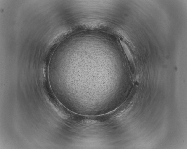 X0000088610590200706081436