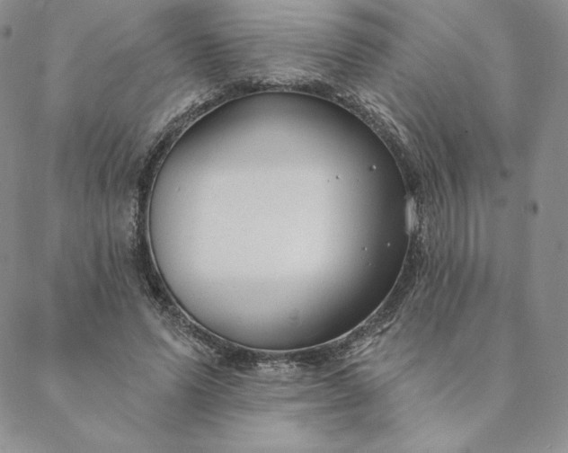 X0000088610591200706081436