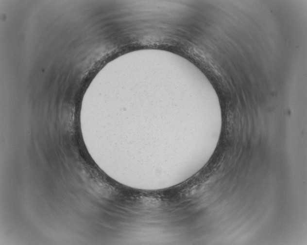 X0000088610592200706081436