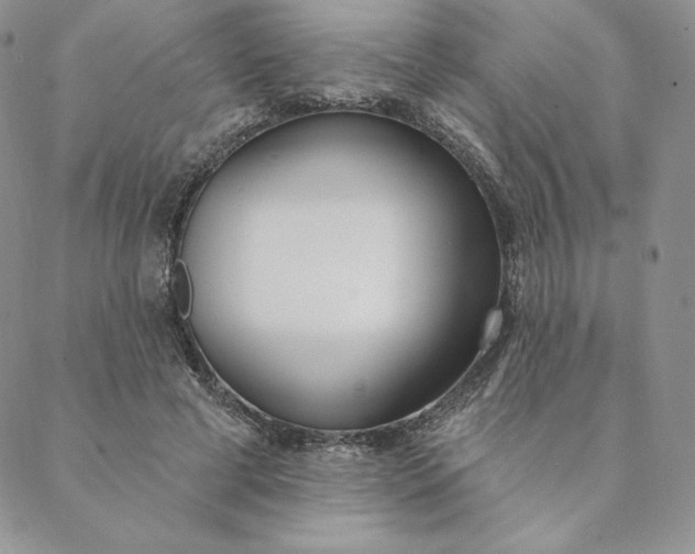 X0000088610593200706081436