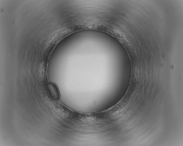 X0000088610594200706081436