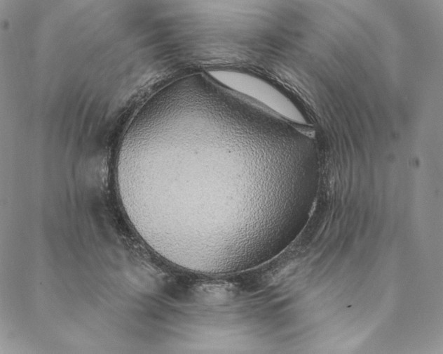 X0000088610595200706081436