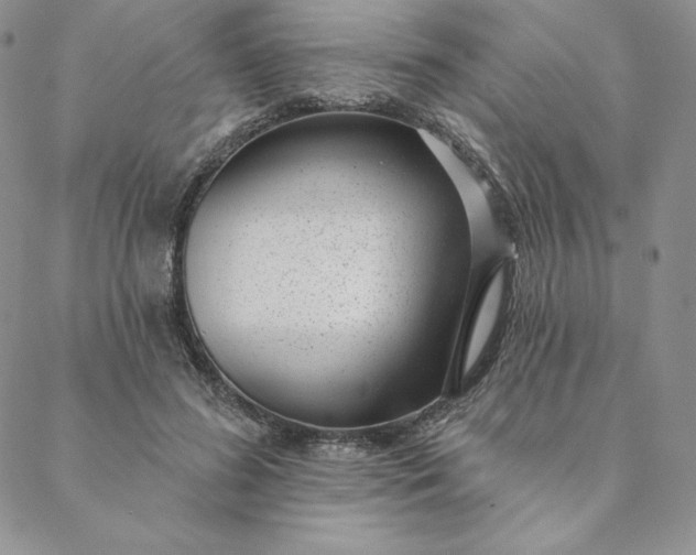 X0000088610596200706081436