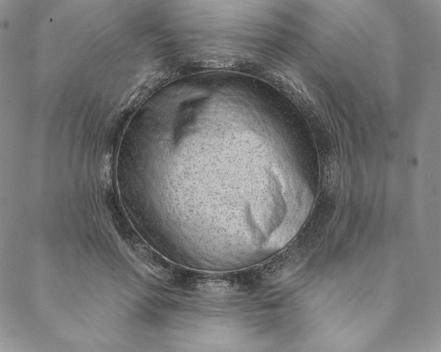 X0000088610598200706081436