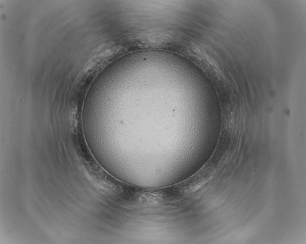 X0000088610599200706081436