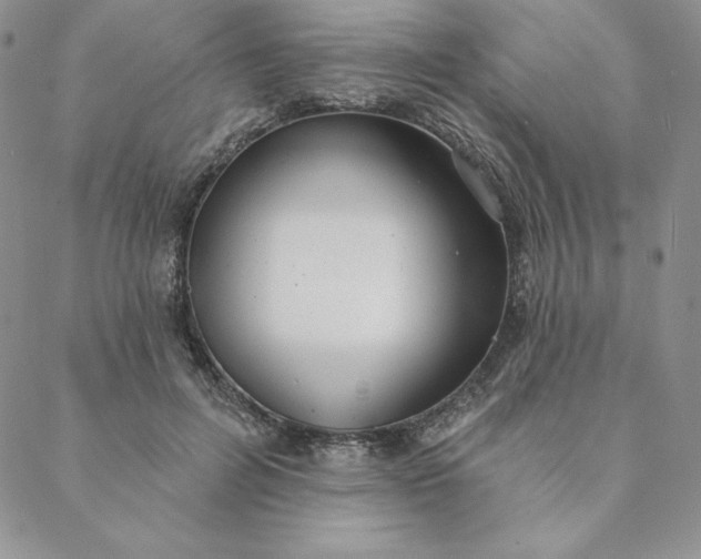 X0000088610600200706081436