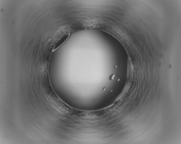 X0000088610601200706081436