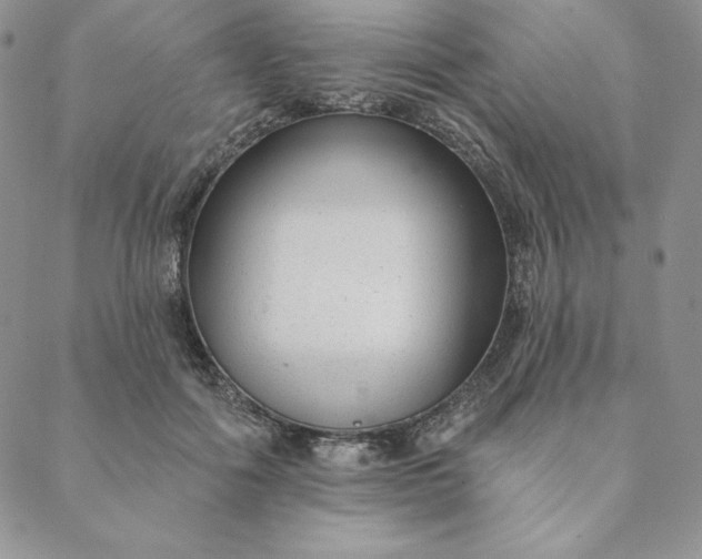 X0000088610602200706081436