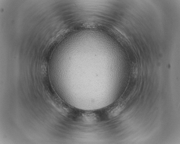 X0000088610603200706081436