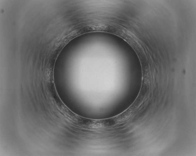 X0000088610604200706081436