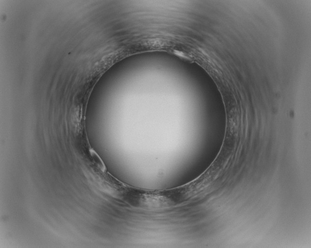 X0000088610605200706081436