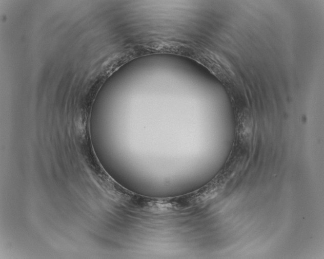 X0000088610607200706081436