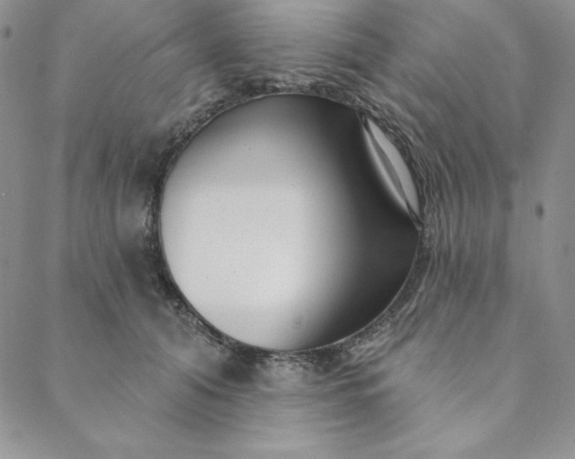 X0000088610608200706081436