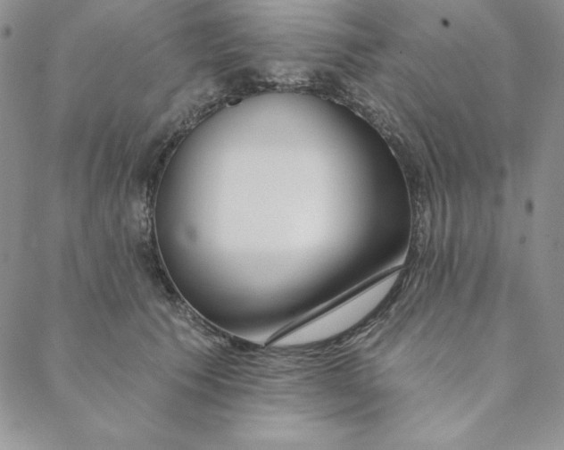 X0000088610609200706081436