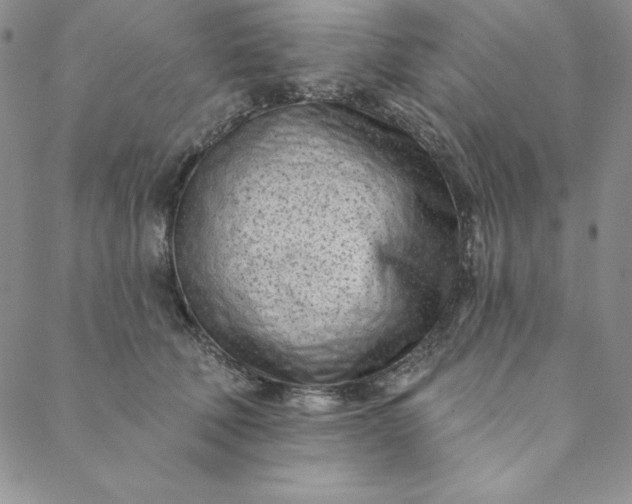 X0000088610610200706081436