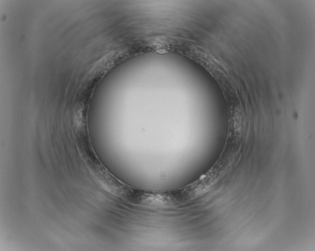 X0000088610611200706081436