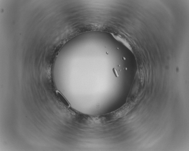 X0000088610613200706081436