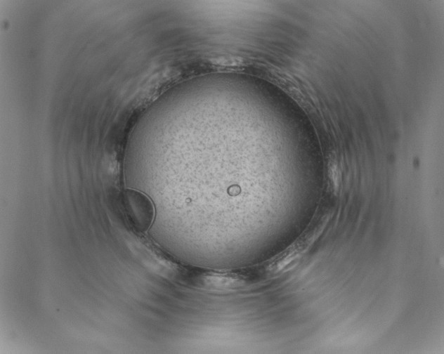 X0000088610614200706081436