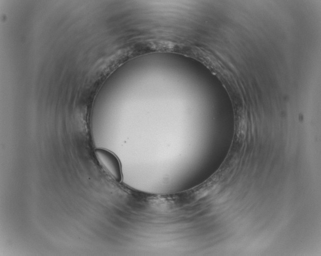 X0000088610616200706081436