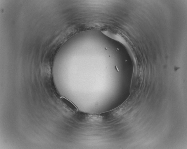 X0000088610617200706081436