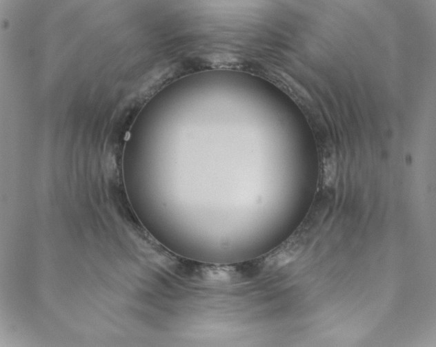 X0000088610618200706081436