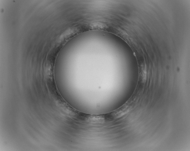 X0000088610619200706081436