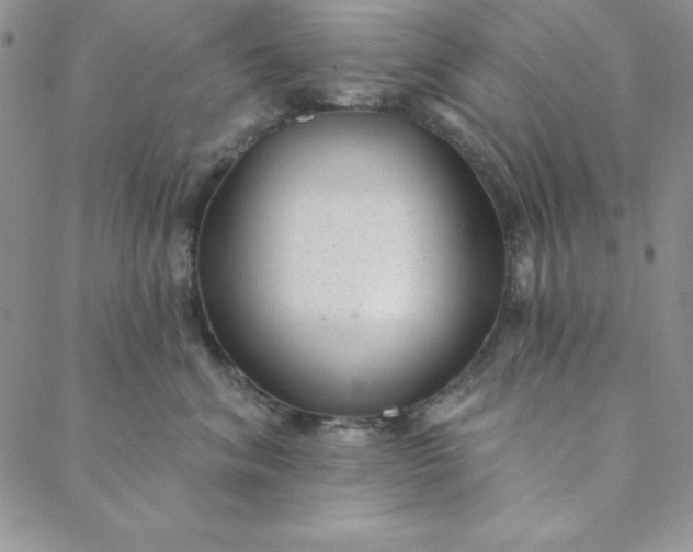 X0000088610620200706081436