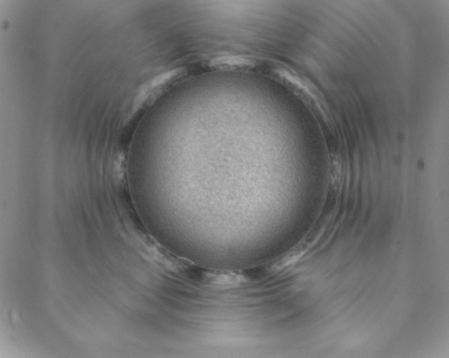 X0000088610621200706081436