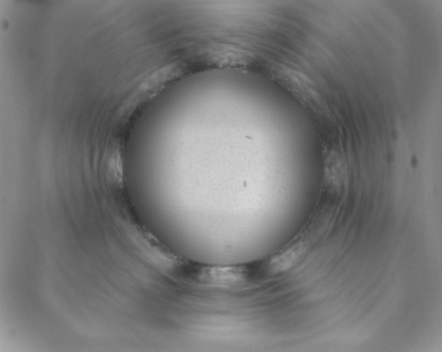 X0000088610622200706081436