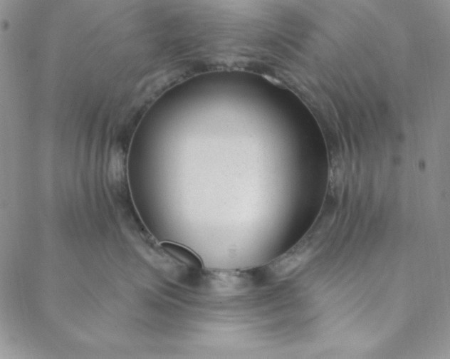 X0000088610623200706081436