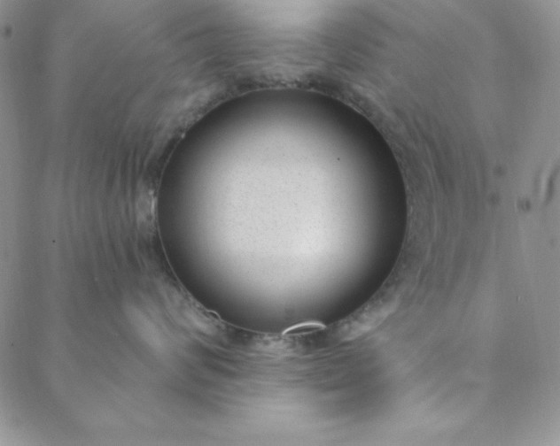 X0000088610624200706081436