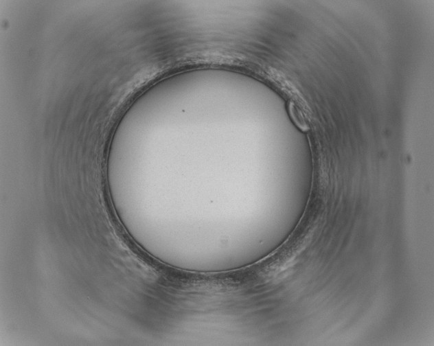 X0000088610625200706081435